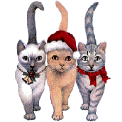 Three Christmas Kittens graphic